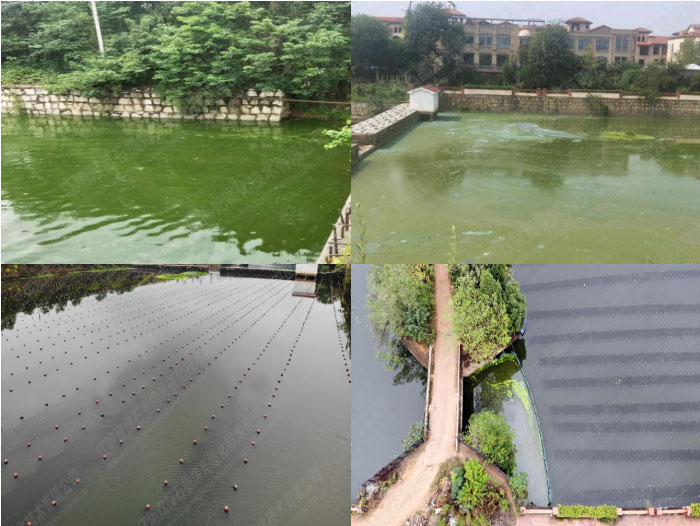 水質(zhì)提升-湖南省長(zhǎng)沙市楚家湖