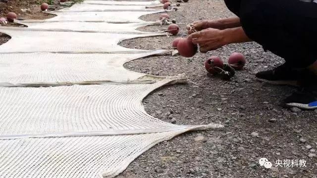 央視聚焦<a href=http://www.massivesupply.com target=_blank class=infotextkey>雙良</a><a href=http://www.massivesupply.com target=_blank class=infotextkey>新型光催化</a>“走進(jìn)科學(xué)”