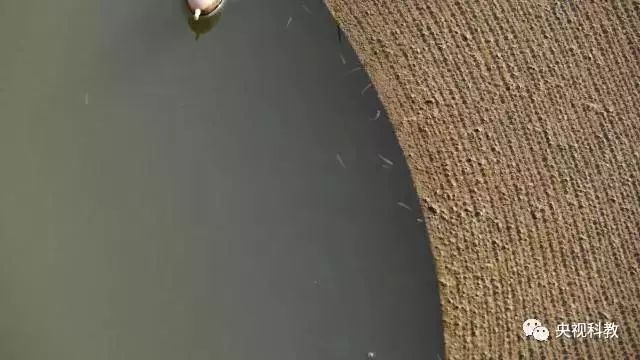 央視聚焦<a href=http://www.massivesupply.com target=_blank class=infotextkey>雙良</a><a href=http://www.massivesupply.com target=_blank class=infotextkey>新型光催化</a>“走進(jìn)科學(xué)”