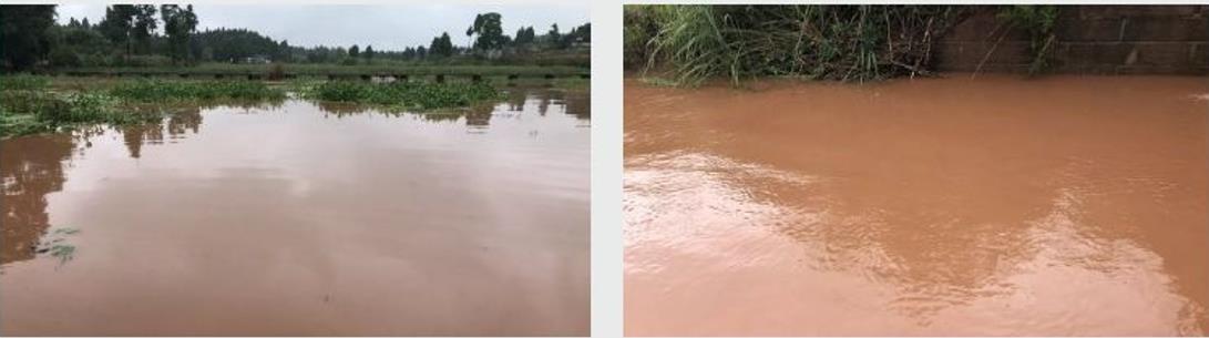 四川資陽市雁江區(qū)滴水巖水庫水體修復(fù)技術(shù)服務(wù)項目