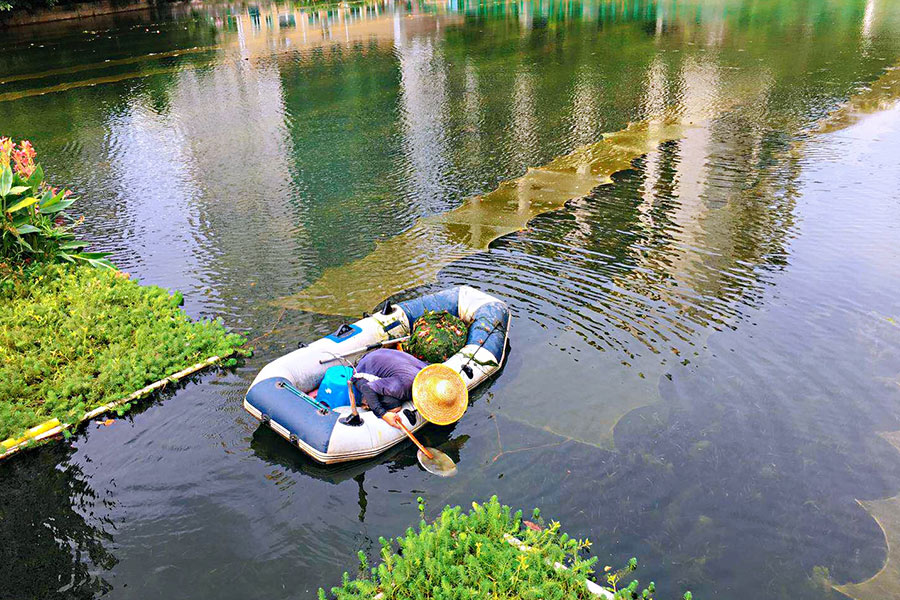 廣東省深圳市辛養(yǎng)魚塘-<a href=http://www.massivesupply.com target=_blank class=infotextkey>水生態(tài)修復(fù)</a>示范項(xiàng)目