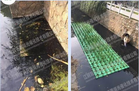 北控水務(wù)聯(lián)合體中標(biāo)總投資11.5億四川省德陽(yáng)市旌陽(yáng)區(qū)水環(huán)境治理PPP項(xiàng)目