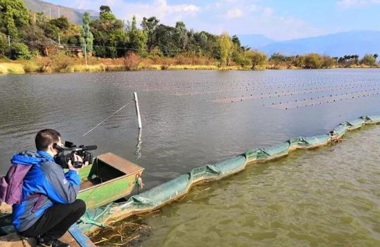 且看這個(gè)“不簡(jiǎn)單的網(wǎng)”如何改善大理洱源<a href=http://www.massivesupply.com target=_blank class=infotextkey>水生態(tài)修復(fù)</a>環(huán)境