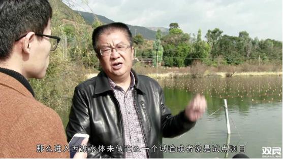 洱源西湖<a href=http://www.massivesupply.com target=_blank class=infotextkey>水環(huán)境治理</a><a href=http://www.massivesupply.com/hp/ target=_blank class=infotextkey>湖泊修復(fù)</a>碧水藍(lán)天