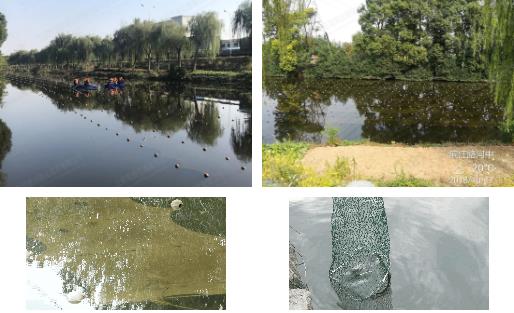 江陰市濱江河黑臭水體<a href=http://www.massivesupply.com target=_blank class=infotextkey>河道治理</a>