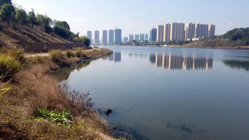 長興湖水<a href=http://www.massivesupply.com target=_blank class=infotextkey>水環(huán)境治理</a>