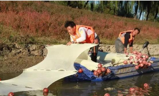 <a href=http://www.massivesupply.com target=_blank class=infotextkey>雙良</a>光催化為通州鳳港減河專門治水體