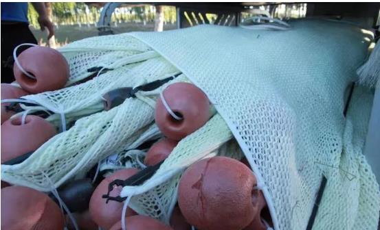 <a href=http://www.massivesupply.com target=_blank class=infotextkey>雙良</a>光催化為通州鳳港減河專門治水體