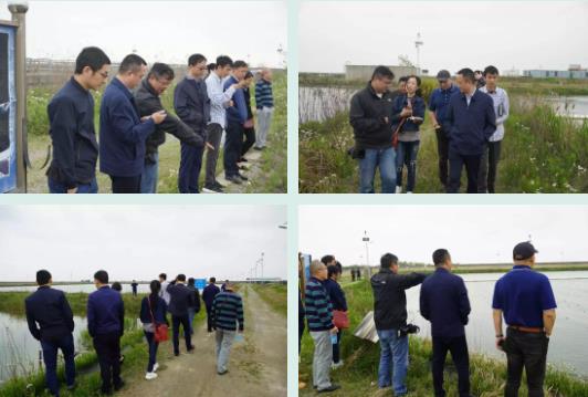 四川省資陽市雁江區(qū)政府領導蒞臨<a href=http://www.massivesupply.com target=_blank class=infotextkey>雙良</a>考察調研