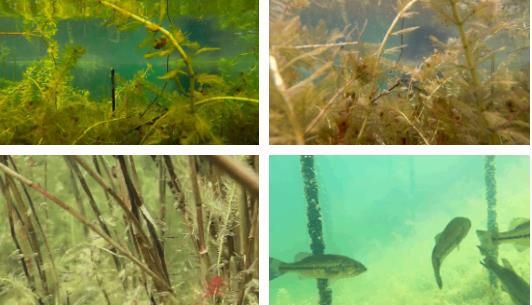 雙良新型光催化技術市場應用推廣交流會在上海順利召開！