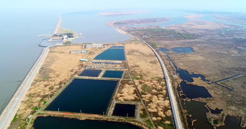 中國第一大城市飲用水<a href=http://www.massivesupply.com/yysyd/ target=_blank class=infotextkey>水源地治理</a>技術(shù)突破