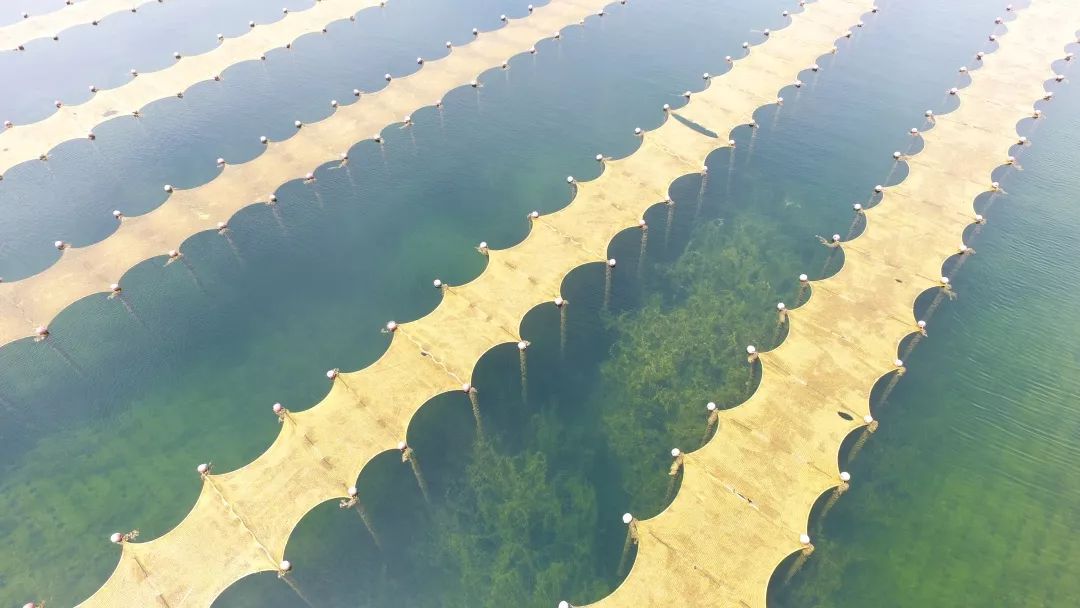 “光催化技術(shù)提升飲用水源地水質(zhì)工程應(yīng)用專家評(píng)審會(huì)”在上?？茖W(xué)會(huì)堂順利召開