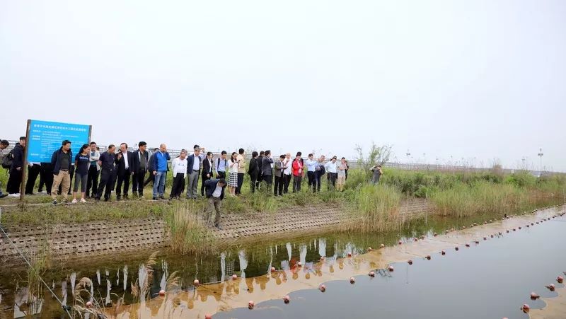 中國第一大城市飲用水<a href=http://www.massivesupply.com/yysyd/ target=_blank class=infotextkey>水源地治理</a>技術(shù)突破