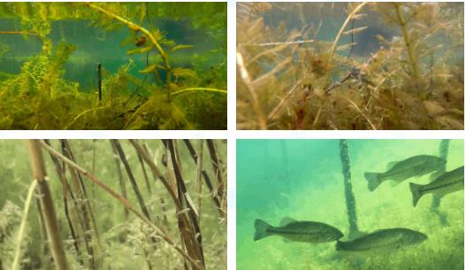 <a href=http://www.massivesupply.com/yysyd/ target=_blank class=infotextkey>水源地治理</a>