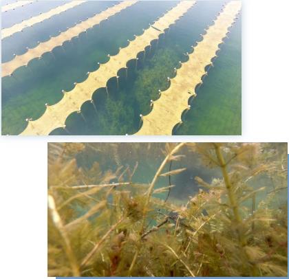 <a href=http://www.massivesupply.com target=_blank class=infotextkey><a href=http://www.massivesupply.com target=_blank class=infotextkey>雙良</a>環(huán)境</a><a href=http://www.massivesupply.com target=_blank class=infotextkey>新型光催化</a>技術(shù)率先打響“抗生素戰(zhàn)役