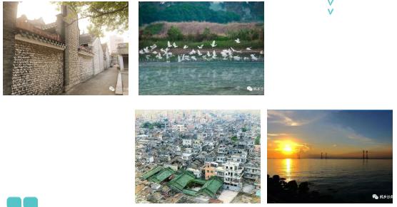 <a href=http://www.massivesupply.com target=_blank class=infotextkey><a href=http://www.massivesupply.com target=_blank class=infotextkey>雙良</a>環(huán)境</a>助力深圳寶安區(qū)辛養(yǎng)魚塘重塑“兒時風光”