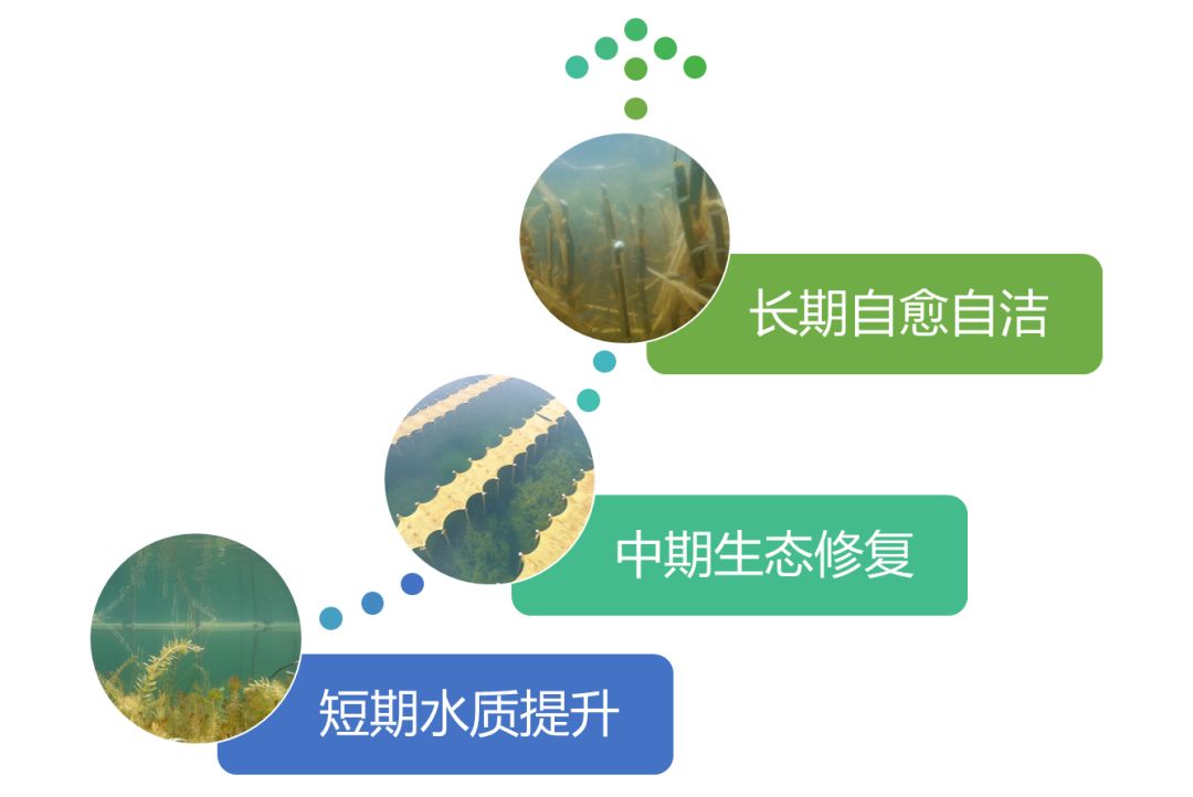 2020<a href=http://www.massivesupply.com target=_blank class=infotextkey><a href=http://www.massivesupply.com target=_blank class=infotextkey>雙良</a>環(huán)境</a>春招開(kāi)啟