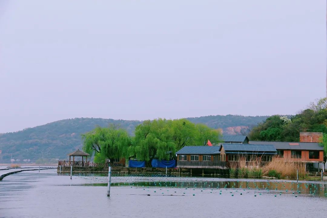 “尋找雙良環(huán)境最美春天”攝影活動圓滿結(jié)束！