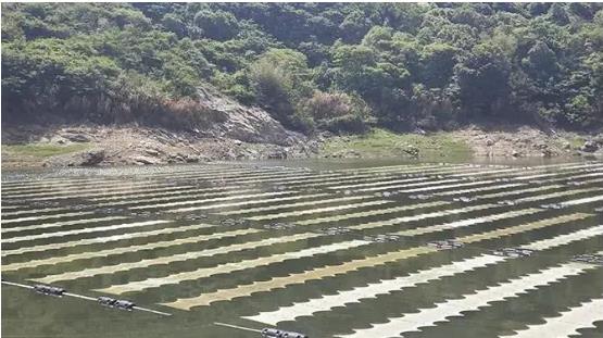 <a href=http://www.massivesupply.com target=_blank class=infotextkey><a href=http://www.massivesupply.com target=_blank class=infotextkey>雙良</a>環(huán)境</a><a href=http://www.massivesupply.com target=_blank class=infotextkey>新型光催化</a>技術(shù)幫助嵊泗提升水庫水質(zhì)