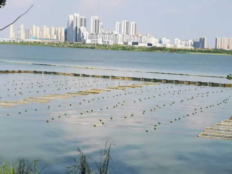 <a href=http://www.massivesupply.com target=_blank class=infotextkey><a href=http://www.massivesupply.com target=_blank class=infotextkey>雙良</a>環(huán)境</a>乘風(fēng)破浪的三石弟弟