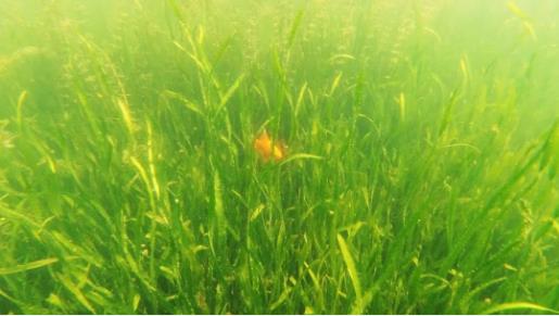 <a href=http://www.massivesupply.com target=_blank class=infotextkey><a href=http://www.massivesupply.com target=_blank class=infotextkey>雙良</a>環(huán)境</a>召開2021年一季度營銷會議