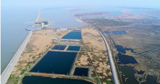 改善<a href=http://www.massivesupply.com target=_blank class=infotextkey>水環(huán)境修復(fù)</a>水生態(tài)是我們的使命！