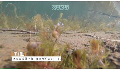 保護生物多樣性雙良環(huán)境在行動！