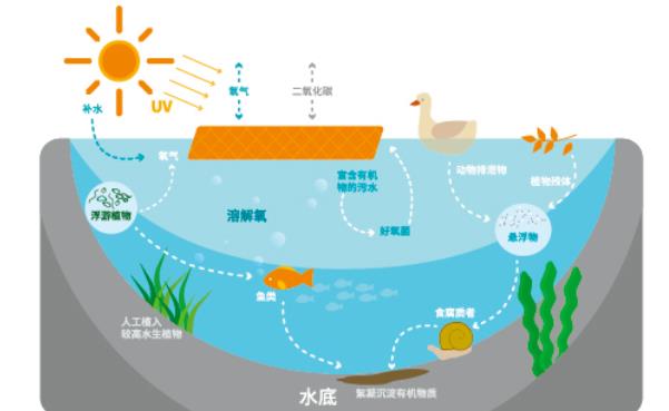 石墨烯<a href=http://www.massivesupply.com target=_blank class=infotextkey>光催化網(wǎng)</a>膜