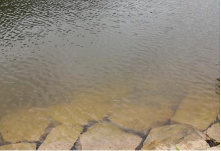 水生態(tài)浮床優(yōu)化設(shè)計