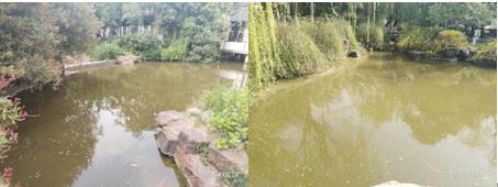 氣候變化對藍(lán)藻水華造成的多方面影響環(huán)境驅(qū)動因素