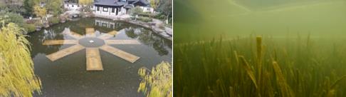 在我縣調(diào)研指導(dǎo)污水處理、呂莊水庫(kù)建設(shè)及涑水河聞喜段河道治理等工作