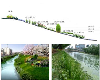 大面積黑臭水體（水塘、水渠、水庫(kù)等）特別是養(yǎng)殖廢水，如何在短時(shí)間快速進(jìn)行治理？達(dá)標(biāo)農(nóng)灌水或排放標(biāo)準(zhǔn)？