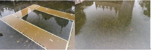 江西：督促治理恢復被污染水源地面積2500多畝